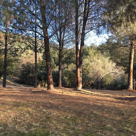 Foxtail Farm Bed & Breakfast Ponderosa Basin Εξωτερικό φωτογραφία