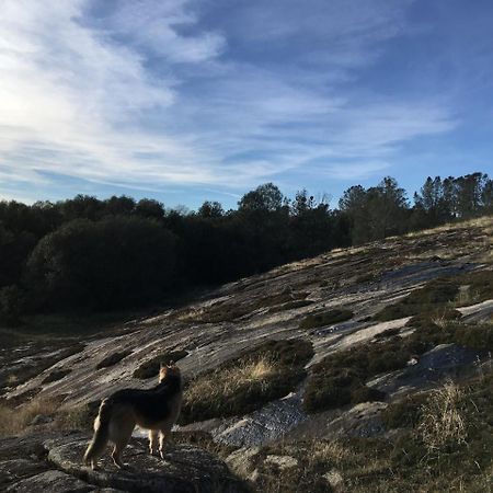 Foxtail Farm Bed & Breakfast Ponderosa Basin Εξωτερικό φωτογραφία