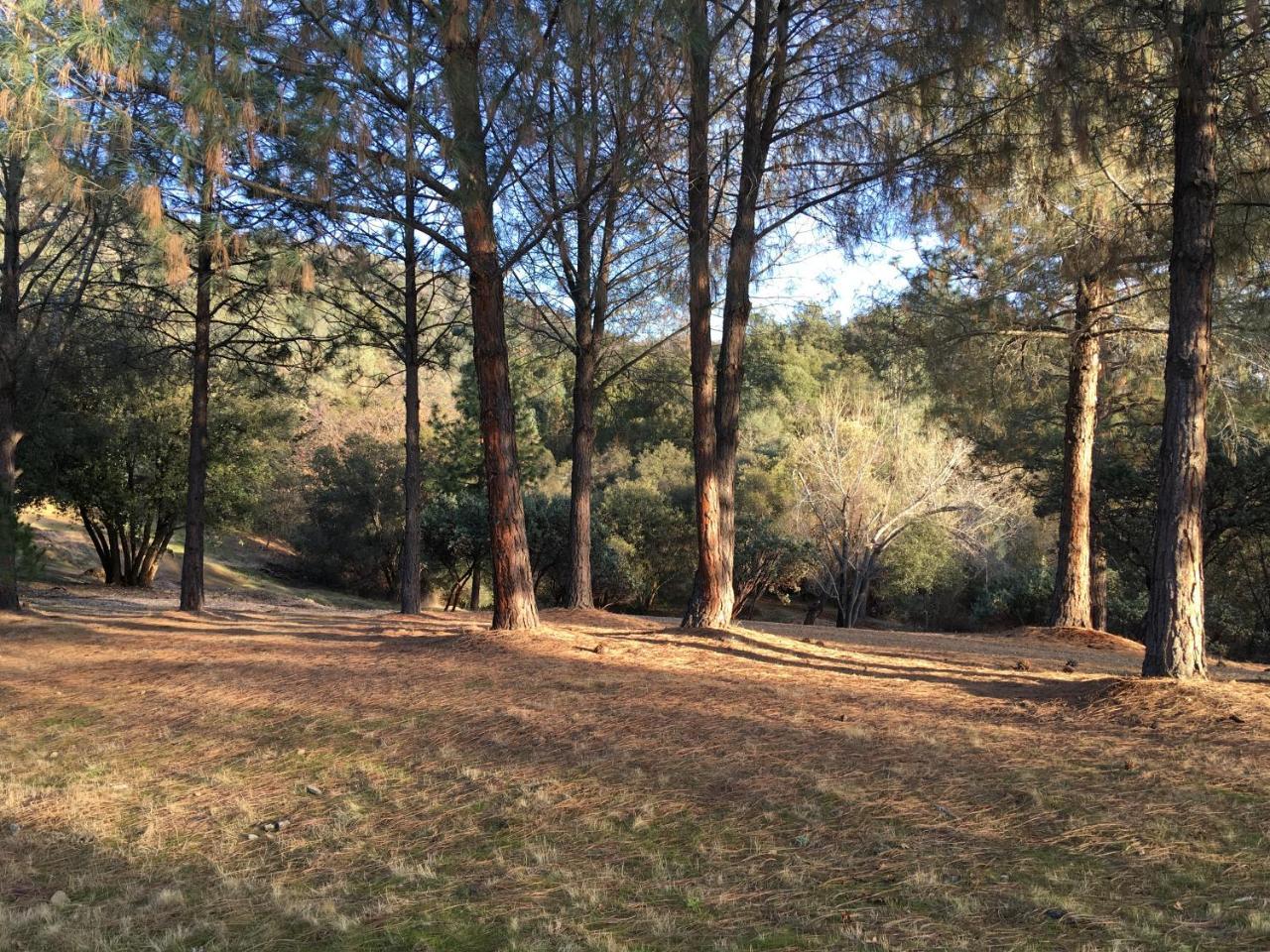 Foxtail Farm Bed & Breakfast Ponderosa Basin Εξωτερικό φωτογραφία