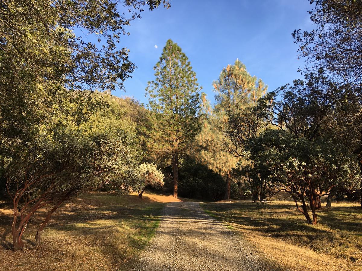 Foxtail Farm Bed & Breakfast Ponderosa Basin Εξωτερικό φωτογραφία